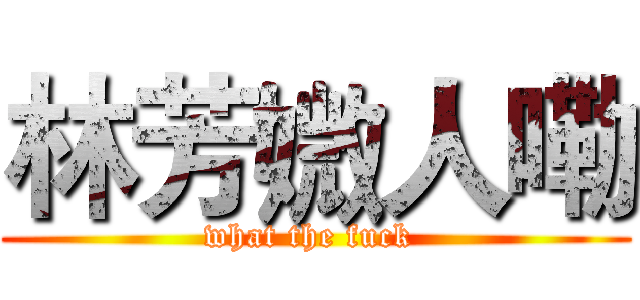 林芳媺人嘞 (what the fuck )