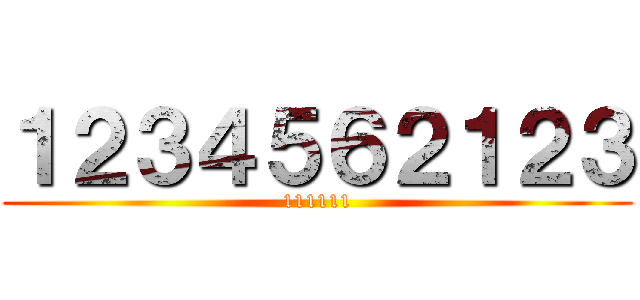 １２３４５６２１２３ (111111)