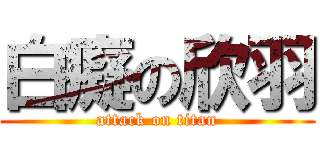 白癡の欣羽 (attack on titan)