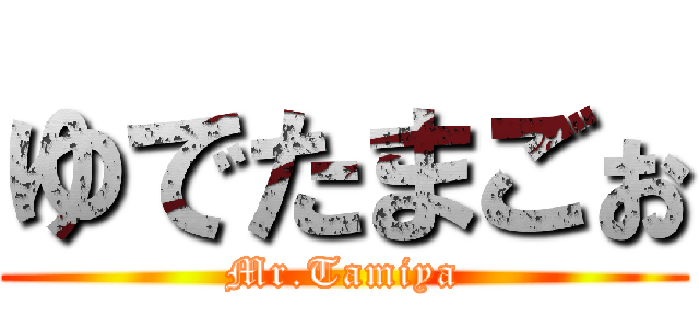 ゆでたまごぉ (Mr.Tamiya)