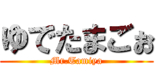 ゆでたまごぉ (Mr.Tamiya)