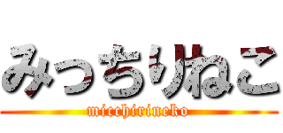 みっちりねこ (micchirineko)