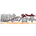 庭球の谷本 (Tanimoto of the tennis)