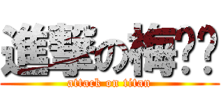 進撃の梅璐璐 (attack on titan)