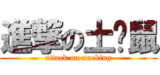 進撃の土拨鼠 (attack on xuebing)