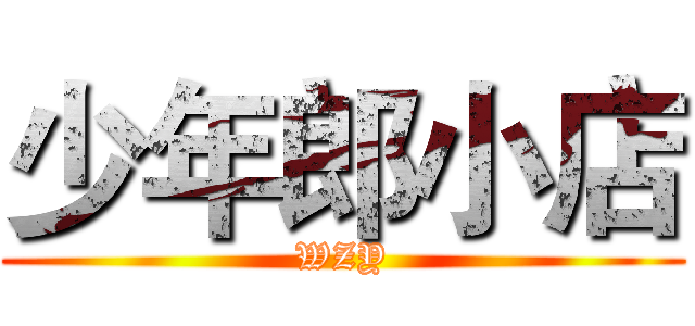 少年郎小店 (WZY)