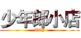 少年郎小店 (WZY)