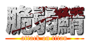 脆弱鯖 (attack on titan)