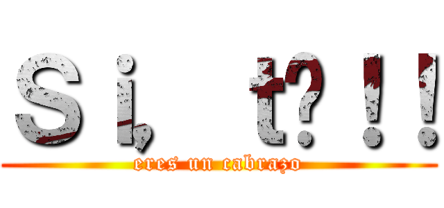 Ｓｉ，ｔú！！ (eres un cabrazo)