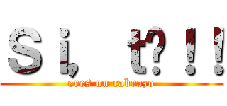 Ｓｉ，ｔú！！ (eres un cabrazo)