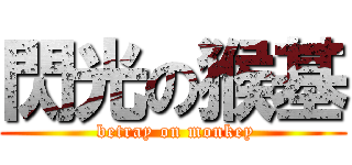 閃光の猴基 ( betray on monkey)
