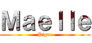 Ｍａｅｌｌｅ (Pigne)