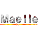 Ｍａｅｌｌｅ (Pigne)