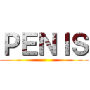 ＰＥＮＩＳ ()