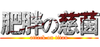 肥胖の慈茵 (attack on titan)