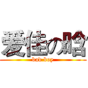 爱佳の晗 (bad boy)