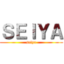 ＳＥＩＹＡ (seiya)