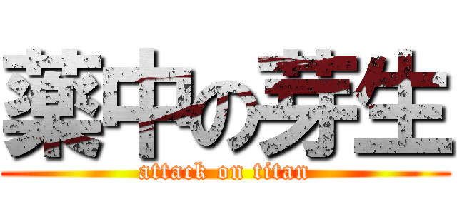 薬中の芽生 (attack on titan)
