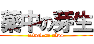 薬中の芽生 (attack on titan)