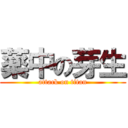 薬中の芽生 (attack on titan)