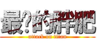 最爱的胖肥 (attack on titan)