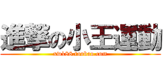 進撃の小王運動 (xw188.taobao.com)