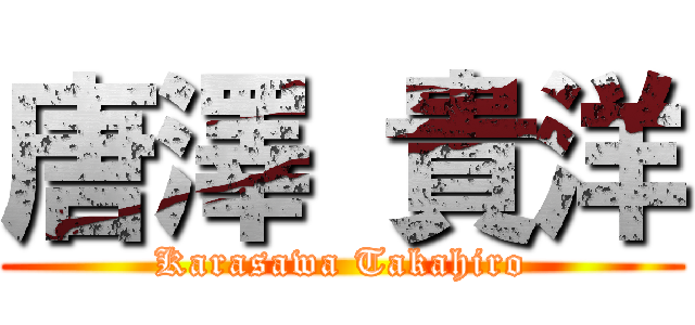 唐澤 貴洋 (Karasawa Takahiro)