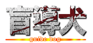 盲導犬 (guide dog)