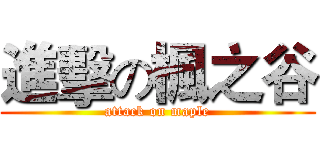 進擊の楓之谷 (attack on maple)