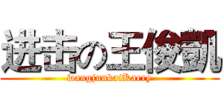进击の王俊凱 (wangjunkaiKarry)