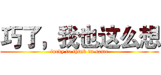 巧了，我也这么想 (lucky to think in same)