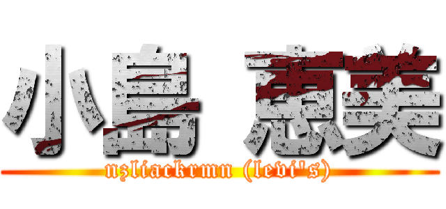 小島 恵美 (nzliackrmn (levi's))