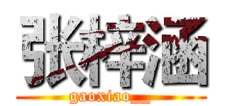 张梓涵 (gaoxiao__)