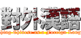 對外漢語 ( Teaching Chinese as a Foreign Language)