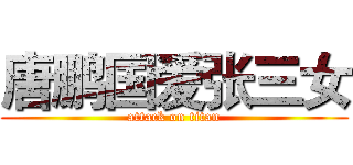 唐鹏国爱张三女 (attack on titan)