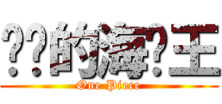 进击的海贼王 (One Piece)