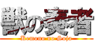 獣の奏者 (Kemono no Soja)