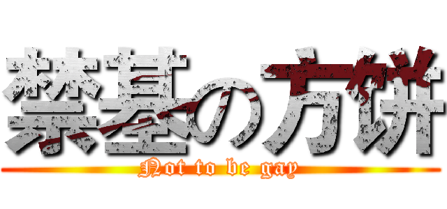 禁基の方饼 (Not to be gay)