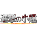 進撃の小建 (attack on titan)