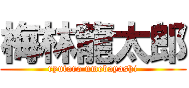 梅林龍太郎 (ryutaro umebayashi)