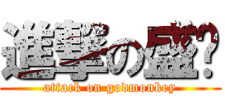 進撃の盛沟 (attack on godmonkey)
