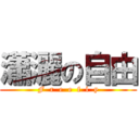 瀟灑の自由 (F  r  e  e  f  l  y)