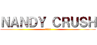 ＮＡＮＤＹ ＣＲＵＳＨ (進擊南方地)