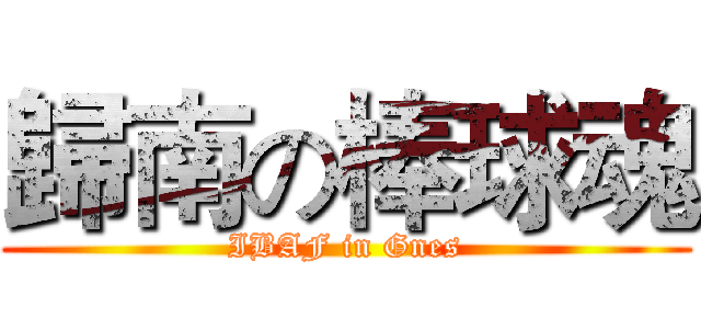 歸南の棒球魂 (IBAF in Gnes)