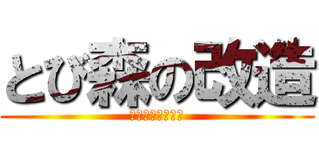 とび森の改造 (オフラインプレイ)