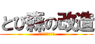 とび森の改造 (オフラインプレイ)