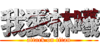 我愛林曦 (attack on titan)