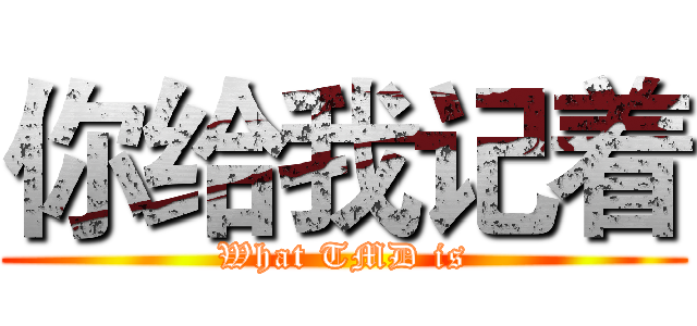 你给我记着 (What TMD is)