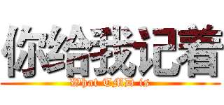 你给我记着 (What TMD is)