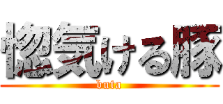 惚気ける豚 (buta)